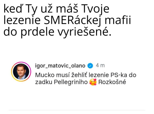 HNUS = Hnutie Slovensko